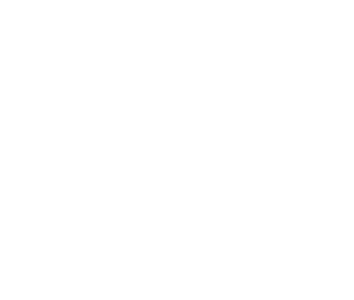 Bestival2